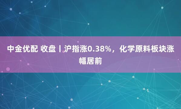 中金优配 收盘丨沪指涨0.38%，化学原料板块涨幅居前