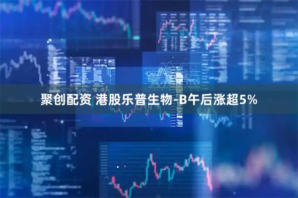 聚创配资 港股乐普生物-B午后涨超5%