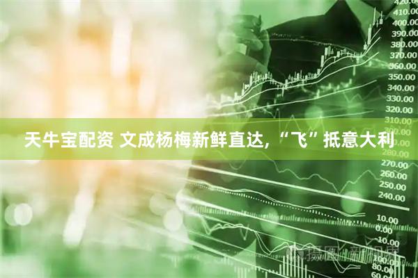 天牛宝配资 文成杨梅新鲜直达, “飞”抵意大利